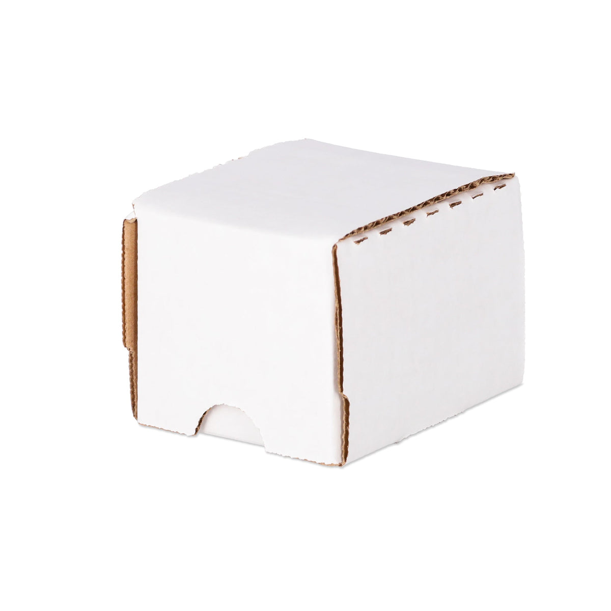 100 COUNT STORAGE BOX